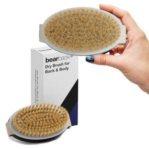 Bearback Dry Brush Attachment