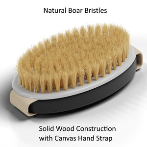 Bearback Dry Brush Attachment